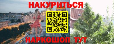 гашик Нальчик